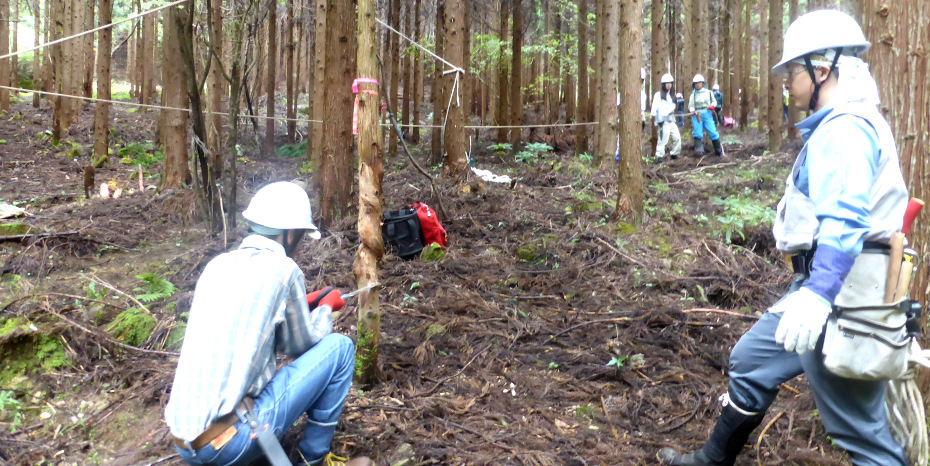 阪神・淡路大震災から始まった森林と学生の支え合う関係