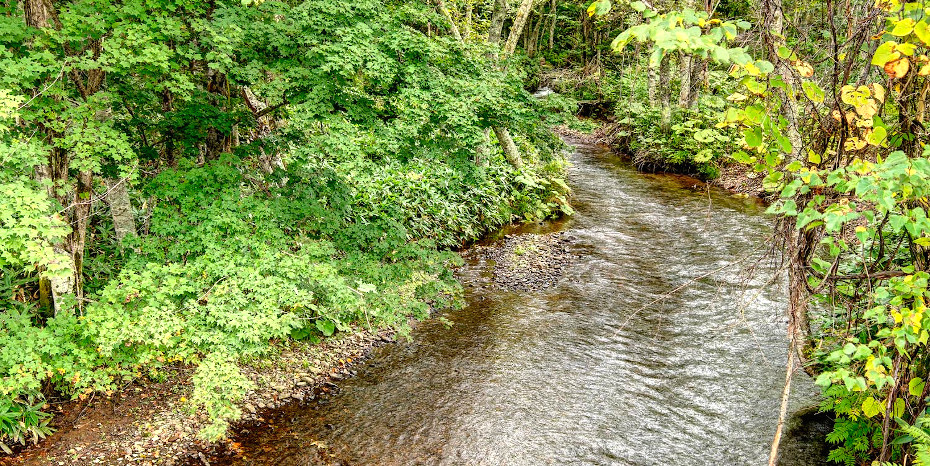 川と水を守る、そのための森林のルールとは？