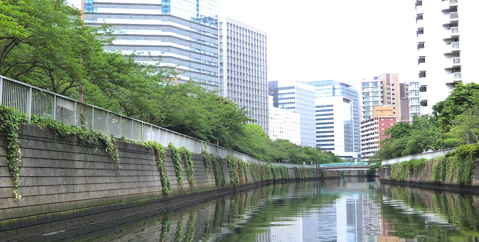 船から見る東京の川と海「TOKYO Sea School」を体験