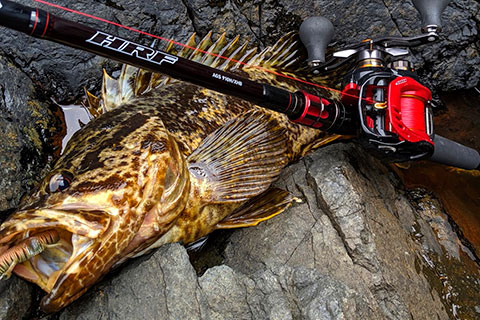 DAIWA ： HRF AGSを体感せよ！ - Web site