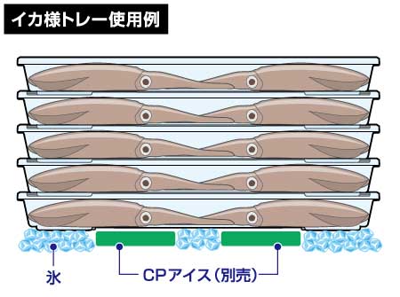 DAIWA ： イカ様トレー - Web site