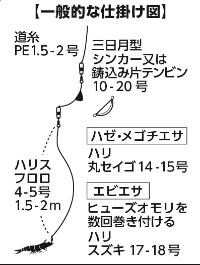 DAIWA ： マゴチ X - Web site