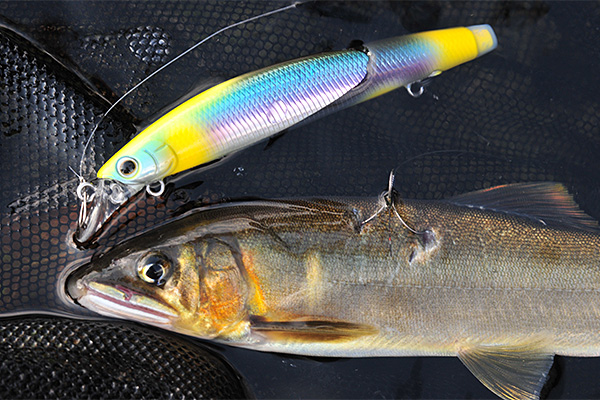 の通信販売 evergreeeen様専用AYUING X 90MLS-S ミノー2つ付き