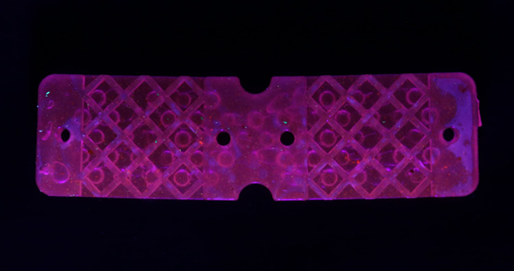 photo2