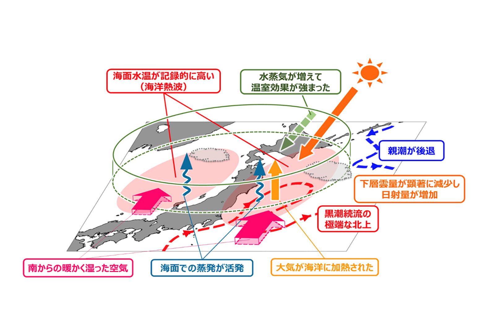 地球温暖化の新たなキーワード「海洋熱波」とは?| GLOBERIDE